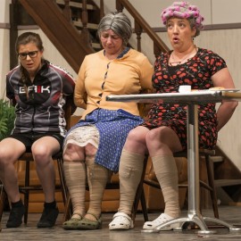 DeGoudfazant 743 - Toneelvereniging Plankenkoorts 